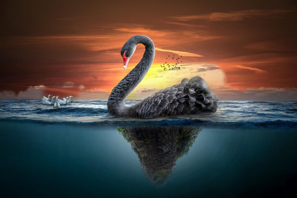 Blog Page 1 manipulation, nature, landscape, swan, ocean, under water, sunset, sky, birds